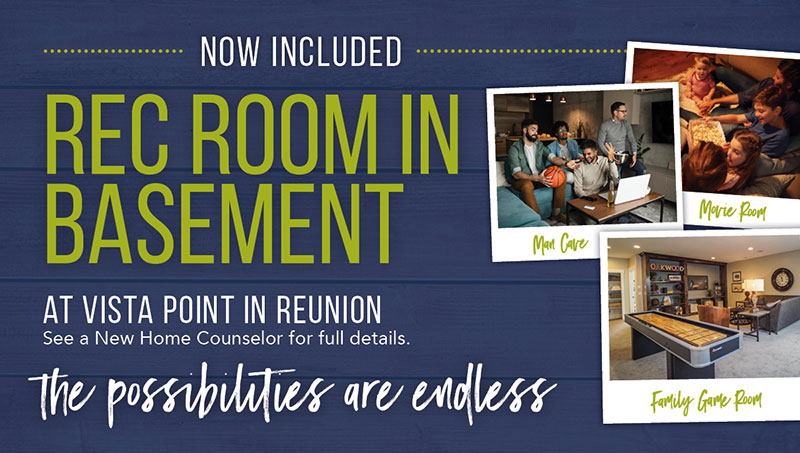 Rec Room in Basement - Reunion