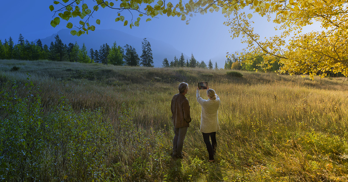 Best Places to View Fall Foliage in Colorado