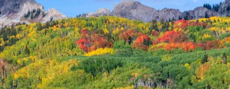 Colorado Leaf Peeping