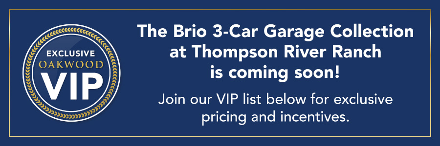 Web banner for TRR Brio VIP