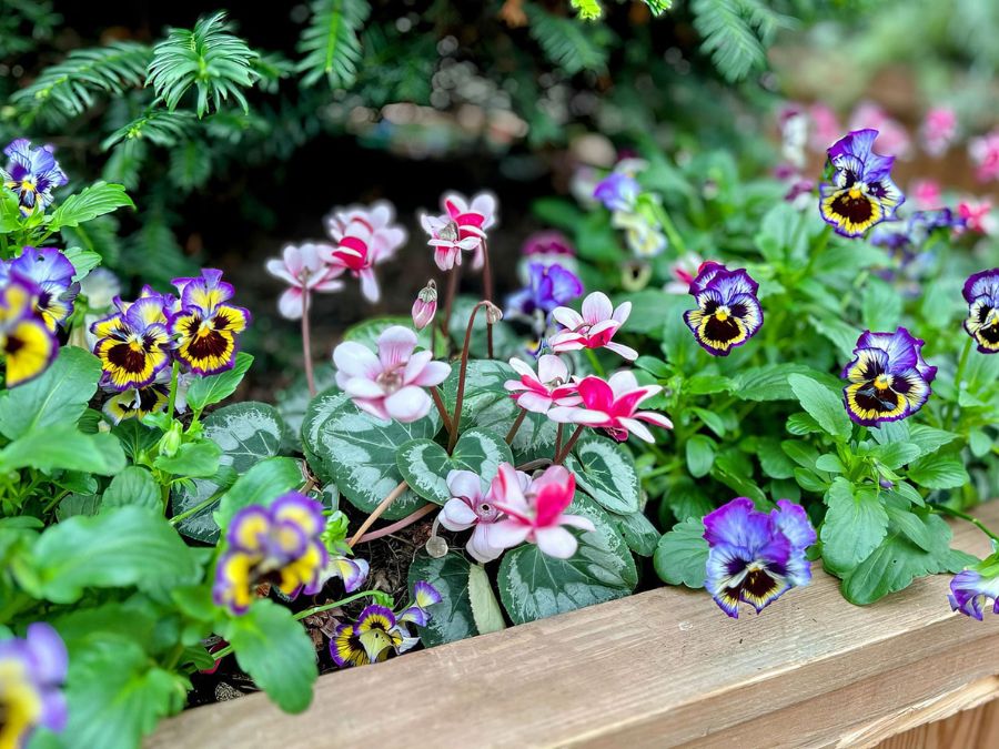 Plant Your Roots with Oakwood Homes.