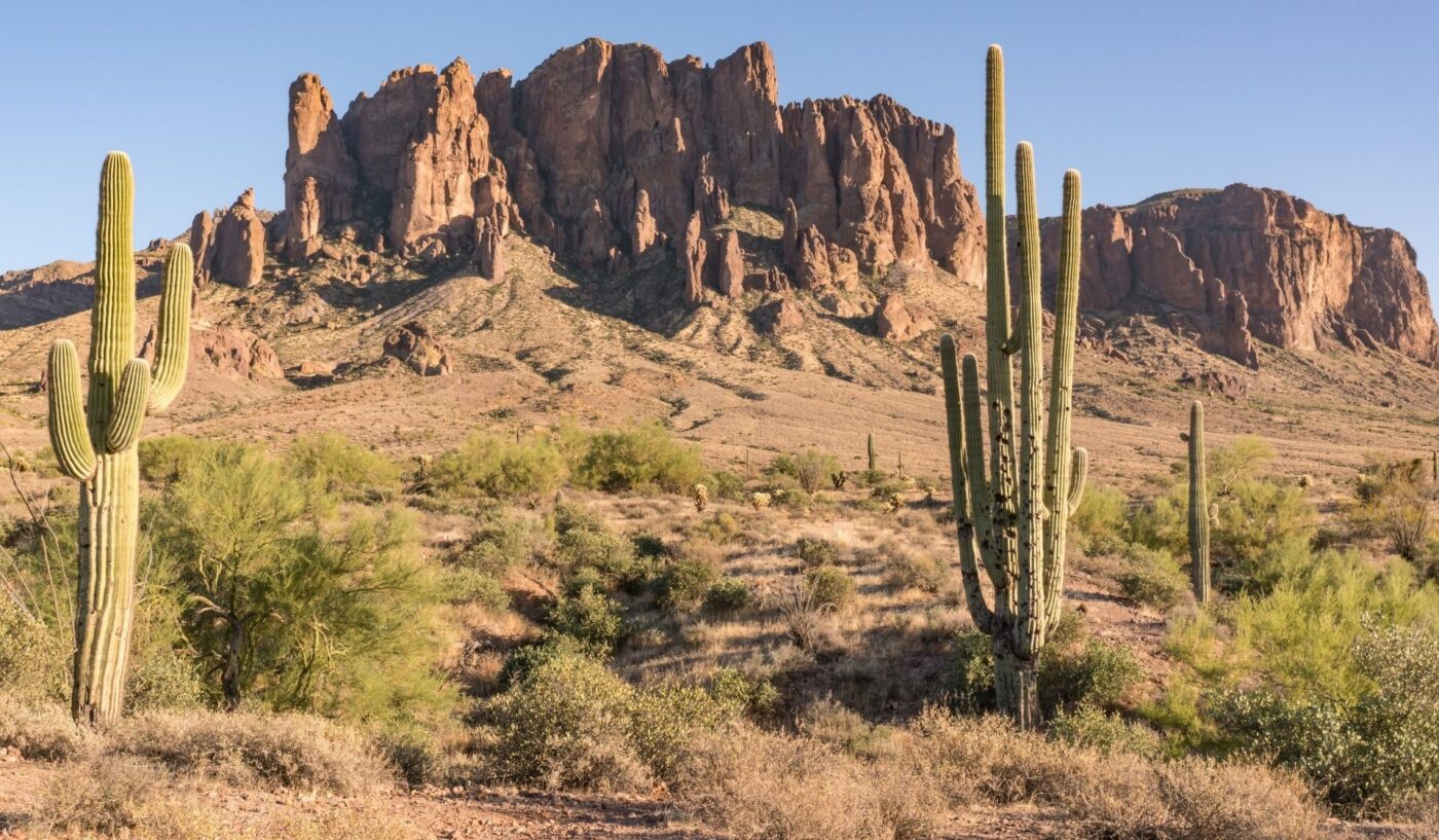 National Arizona Day