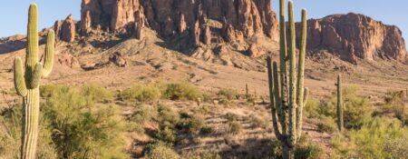National Arizona Day